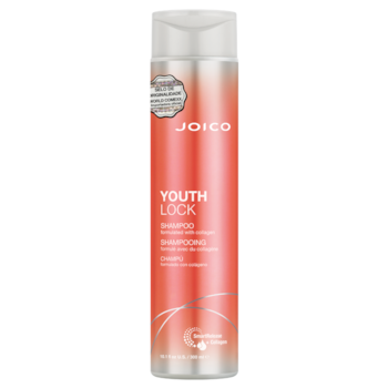 SHAMPOO PARA CABELOS FRAGILIZADOS – JOICO YOUTHLOCK 300ML SHAMPOO PARA CABELOS FRAGILIZADOS – JOICO YOUTHLOCK 300ML